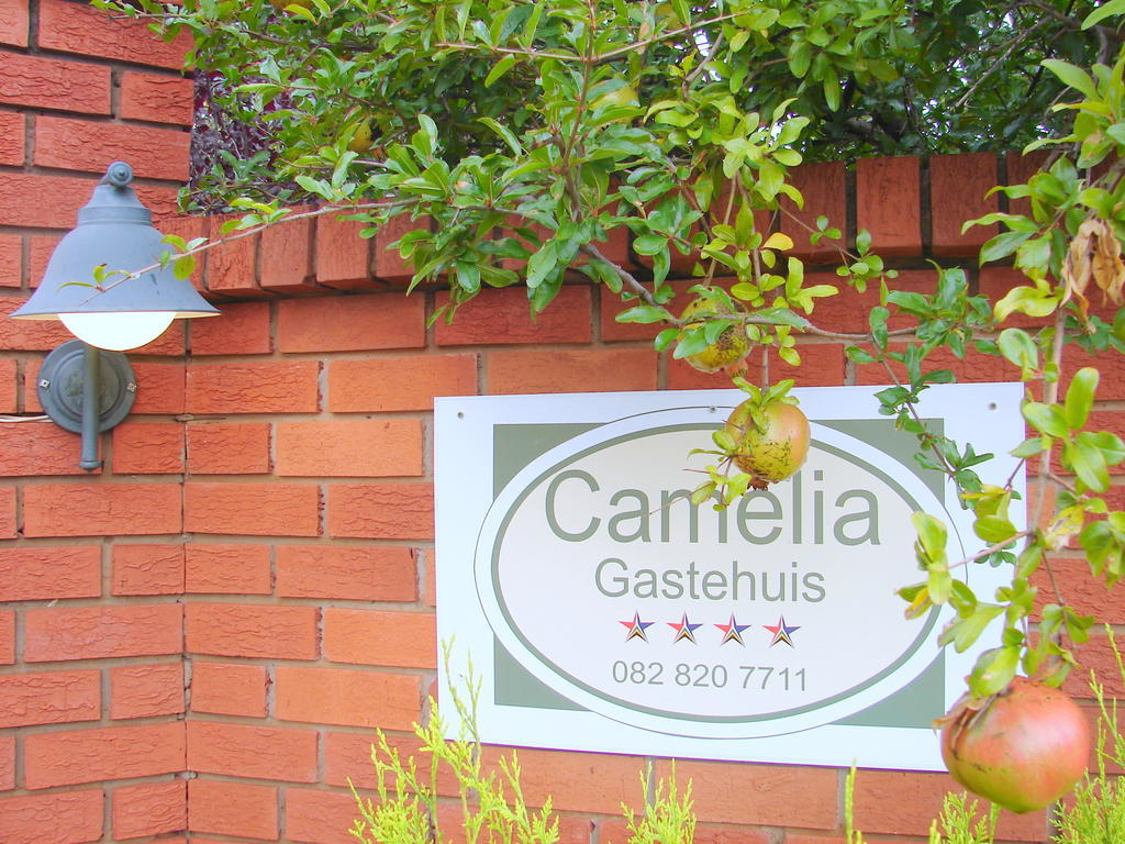 Camelia Guest House Bloemfontein Exterior photo